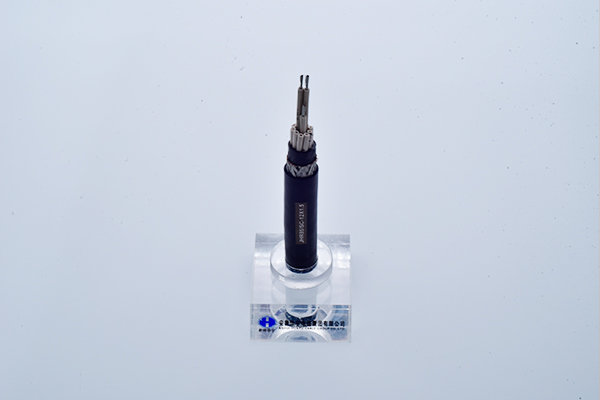 交聯(lián)聚乙烯絕緣艦船用水密型控制電纜