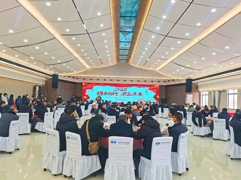 乘勢(shì)而上，篤行不怠 ——安徽華宇集團(tuán)舉行2025年?duì)I銷工作新春茶話會(huì)