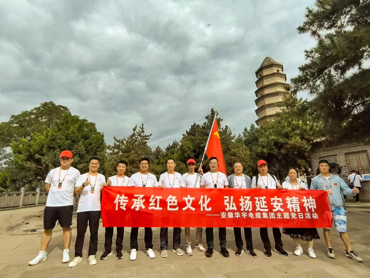               踐行延安精神 筑牢信仰之基 —安徽華宇集團(tuán)黨支部、無(wú)為市工信局黨總支聯(lián)合...